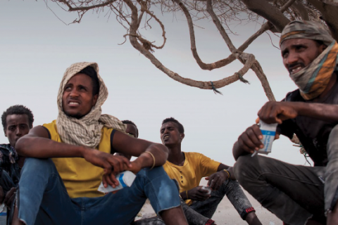 A group of migrants sits under a tree through their Journey